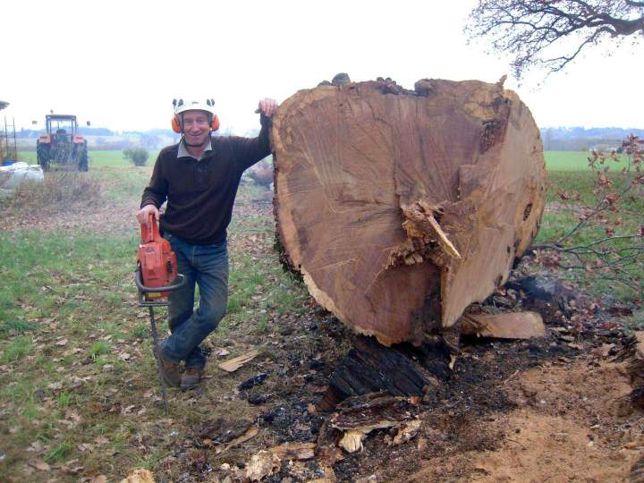 Expert en abattage Montélimar