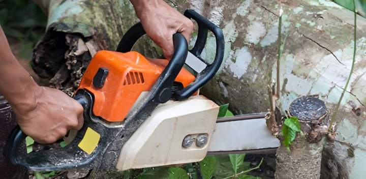 Tronçonneuse Montélimar