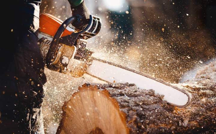 Coupe d'un tronc d'arbre à l'aide d'une tronçonneuse Montélimar