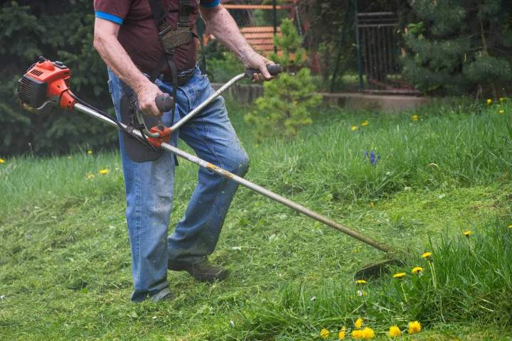 Opération de débroussaillage Montélimar