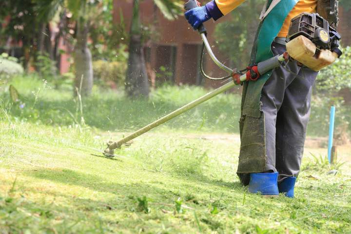 Débroussaillage de terrain Montélimar
