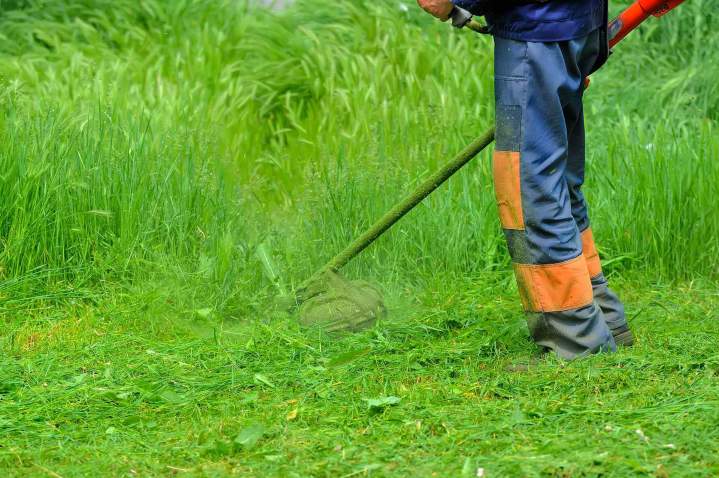 Nettoyage et remise en état de terrains en friche